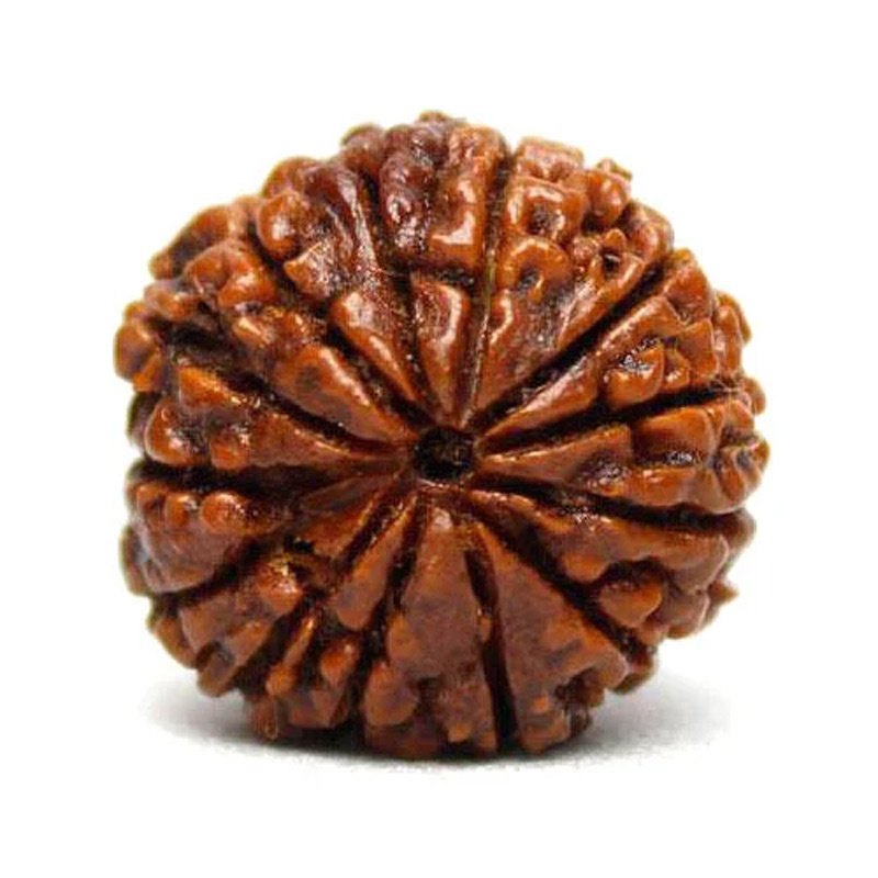 13-mukhi If you are searching for 13 Mukhi Rudraksha in Patna, Shyam Gems Khatri, the best gemstone shop in Patna, offers original and certified Rudraksha with complete authenticity guarantee. Our gemstone shop in Patna is trusted for genuine quality, transparent pricing, and expert consultation. Customers rely on Shyam Gems Khatri for lab-tested and spiritually significant Rudraksha. Visit us to buy premium 13 Mukhi Rudraksha in Patna with confidence and proper guidance.