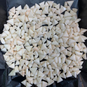 Original Triangle White Munga in Patna – Shyam Gems Khatri